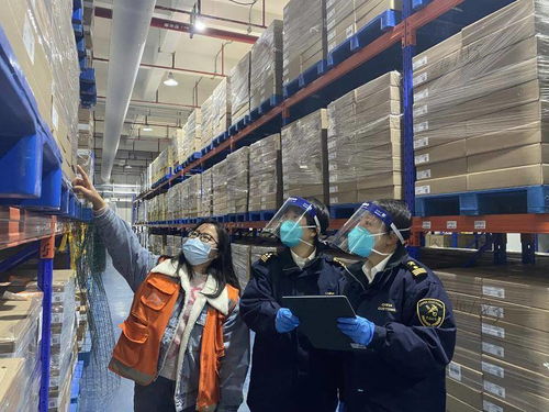 打造综合服务链，广州海关助力大湾区生物医药产业聚集与医疗器械经营创新